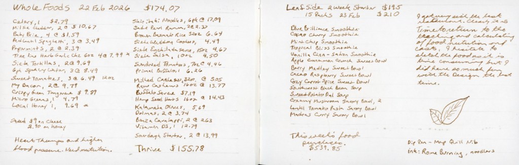 A pocket sketchbook spread in an Epsilon landscape book featuring grocery costs.