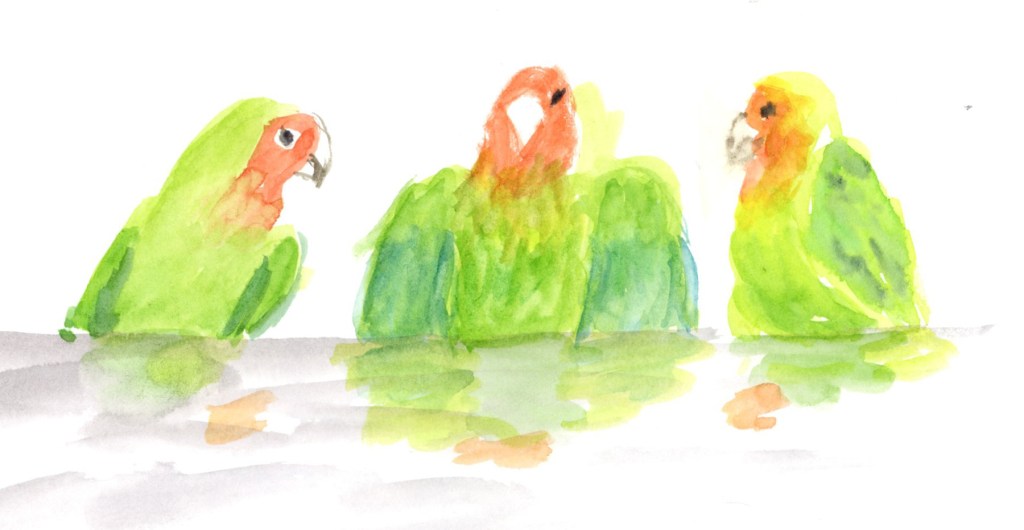 Bathtime at the Reflection&nbsp;Pool