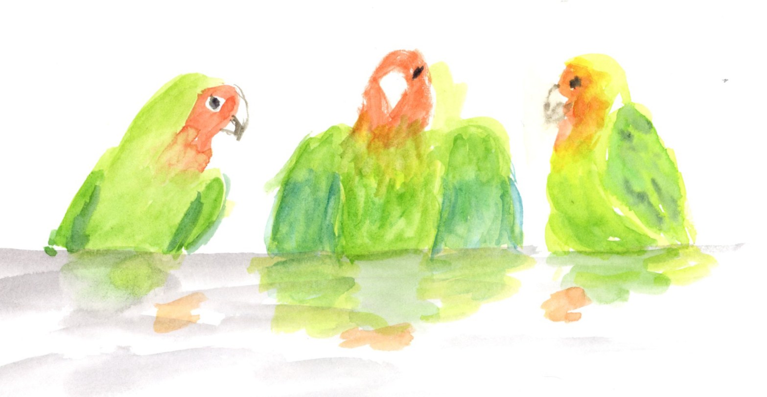 Three watercolour lovebirds painted in bright greens, orange and yellow, sitting along a grey perch with soft reflected colour below, on white paper