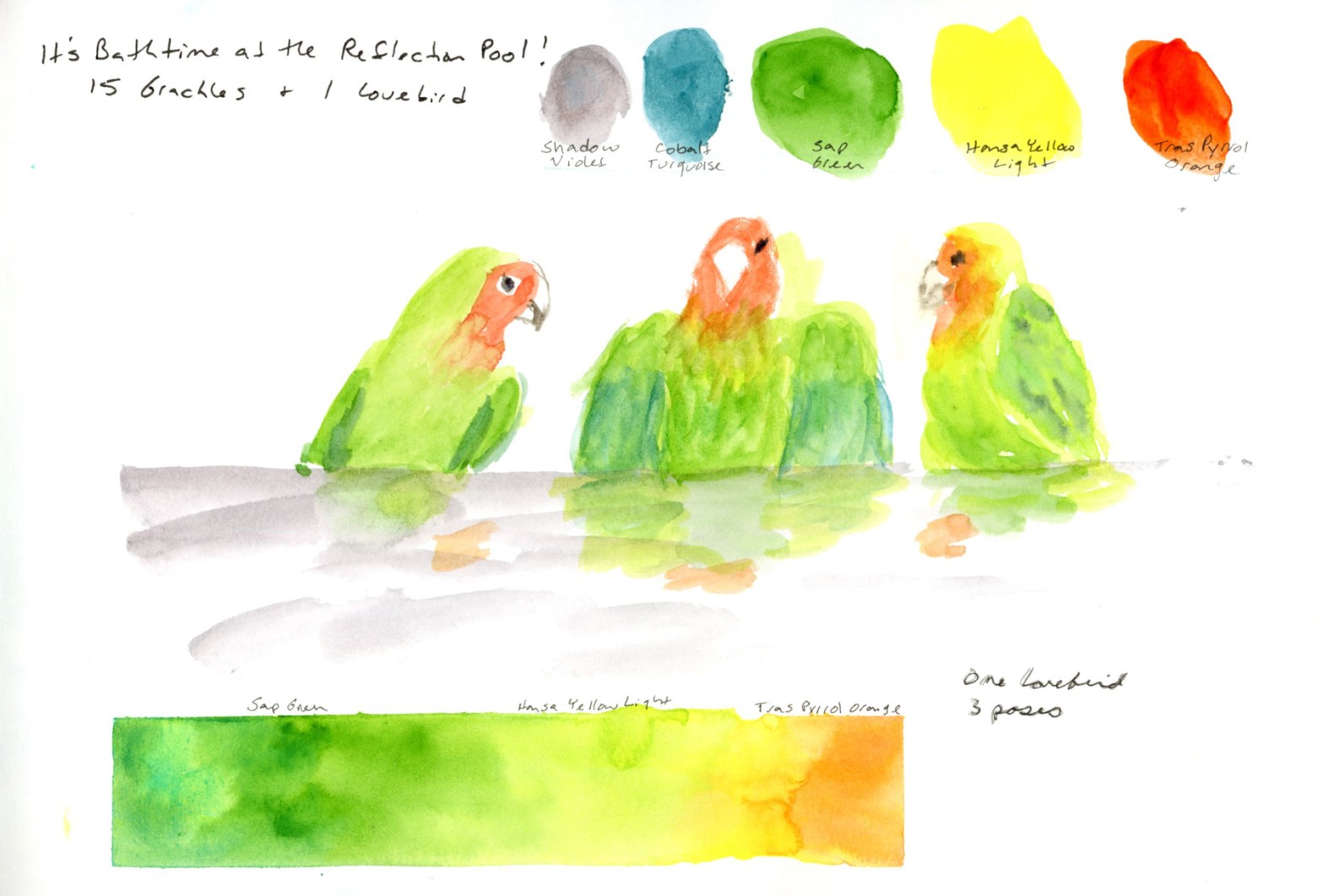 A sketchbook page showing three lovebird poses in watercolour, with five painted colour swatches across the top labelled Shadow Violet, Cobalt Turquoise, Sap Green, Hansa Yellow Light, and Transparent Pyrrol Orange, a handwritten title reading "It's Bathtime at the Reflection Pool," and a green-to-orange gradient bar along the bottom.