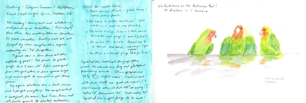 A dual page sketchbook spread — handwritten journaling in black ink on a teal colour block wash on the left describing the Edges outdoor outing and the surprise lovebird sighting at the reflection pool, and three watercolour lovebirds painted in greens, oranges and yellows with the header Bathtime at the Reflection Pool on the right