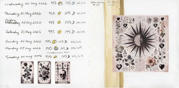 A sketchbook spread on white paper. The left page shows a handwritten weather diary for seven days (Wednesday May 20 through Tuesday May 26, 2026), with each entry recording the date, high and low temperatures in both Fahrenheit and Celsius, and a small hand-drawn weather icon — sun, partial cloud, or crescent moon. Temperatures range from 95°F to 98°F for highs. At the top right of the page, handwritten notes read "GoFun White No 101" and "Flax Beige No 401." The right page features a collage of three tarot-style cards at the bottom left — one showing a rose, one showing roses with swords, one labeled "Blades of Destiny" with a skull — and a large decorative print in the upper right: an intricate compass rose surrounded by botanical illustrations, pressed flowers, and heart motifs in black, grey, and dusty pink.